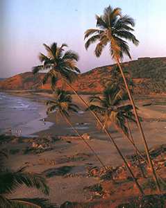 Kovalam Beach